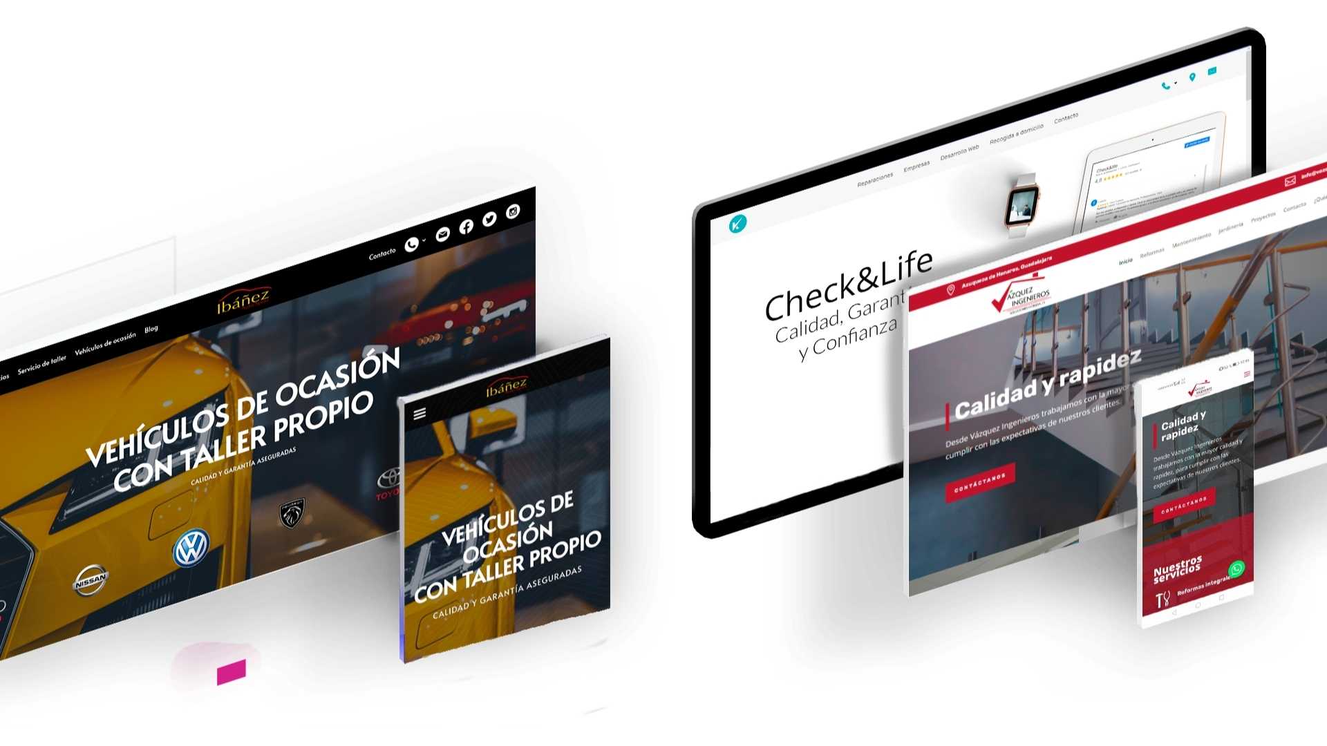 paginas web en guadalajara